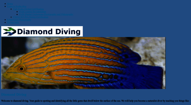 diamonddiving.co.uk