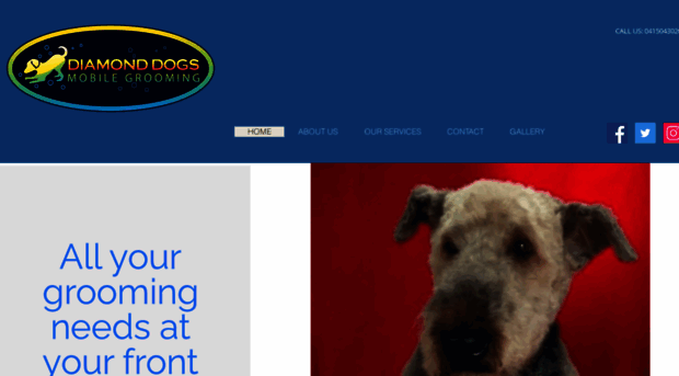 diamonddogs.com.au