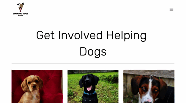 diamonddogsrescue.com