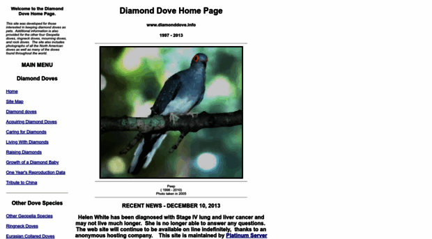 diamonddove.info