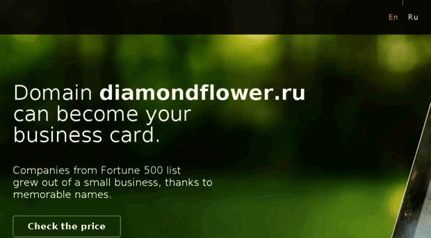 diamondflower.ru