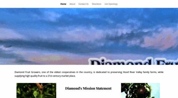 diamondfruit.com