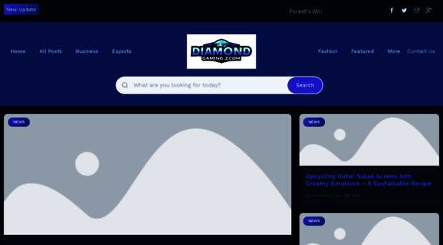 diamondgamingzone.com