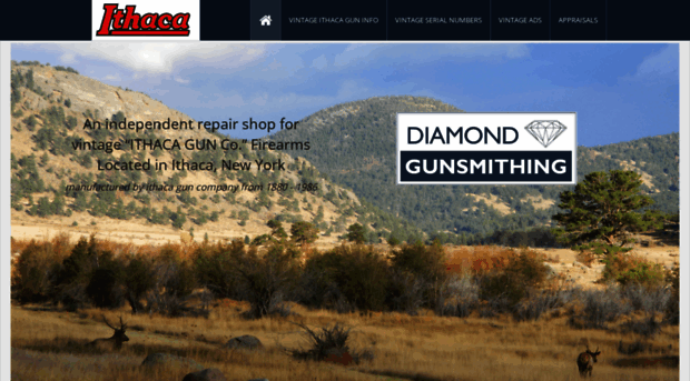 diamondgunsmithing.com