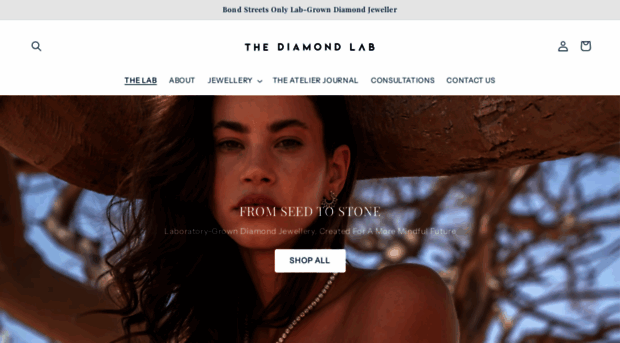 diamondlabeditions.com