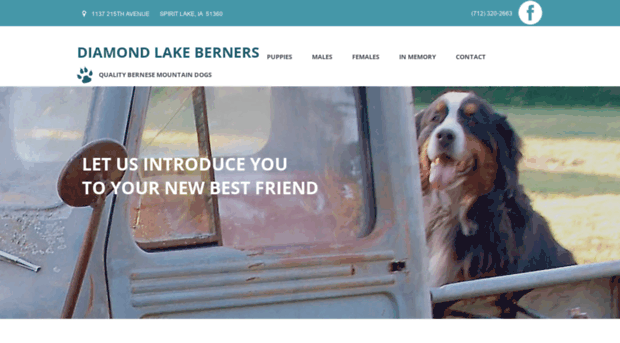 diamondlakeberners.com