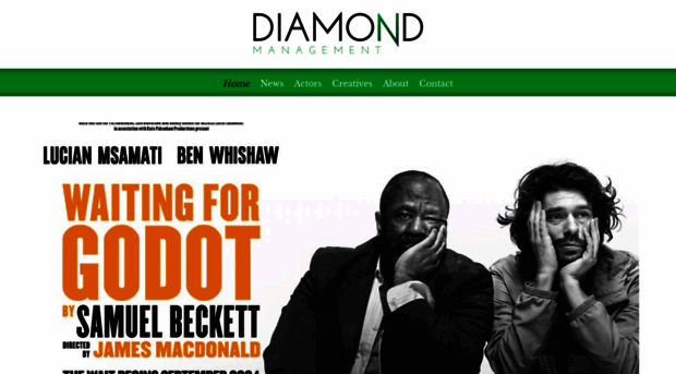 diamondmanagement.co.uk