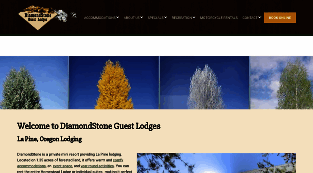 diamondstone.com