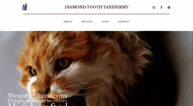 diamondtoothtaxidermy.com