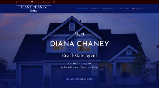 dianachaney.com