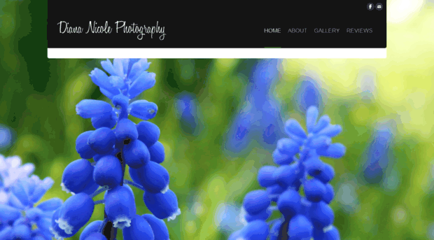 diananicolephotography.weebly.com