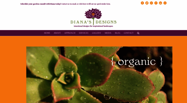 dianasdesignsaustin.com