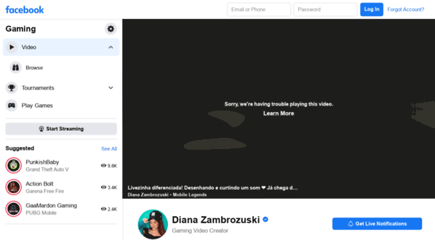 dianazambrozuski.com