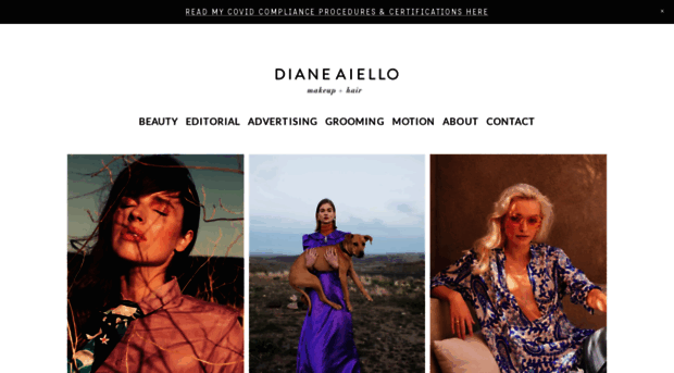 dianeaiello.com