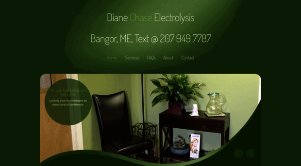 dianechaseelectrolysis.com