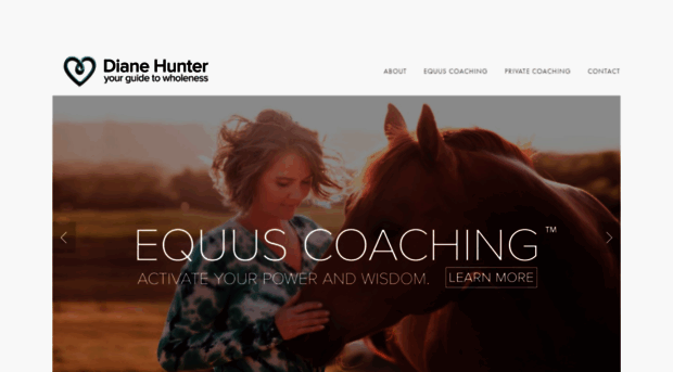 dianehunter.net