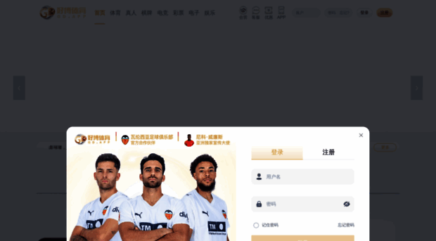 dianmikeji.com