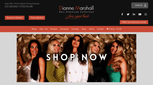 diannemarshall.com