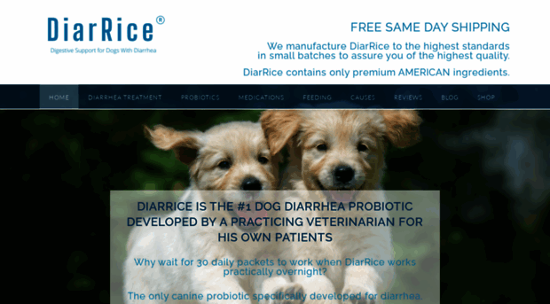 diarrice.com