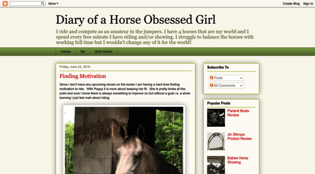 diaryofahorseobsessedgirl.blogspot.com