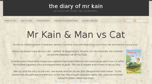 diaryofmrkain.com