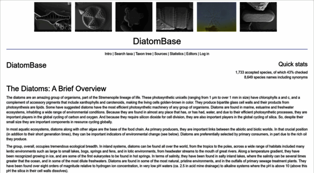 diatombase.org