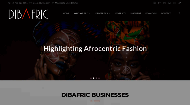 dibafric.com