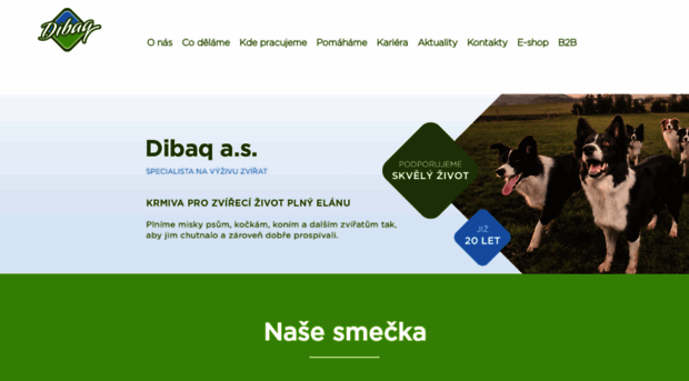 dibaq.cz