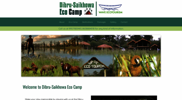 dibrusaikhowaecocamp.com