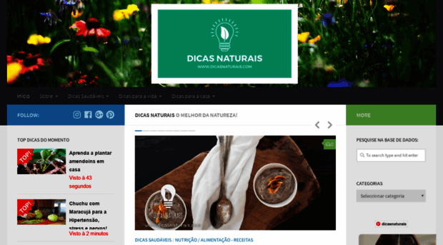 dicasnaturais.com