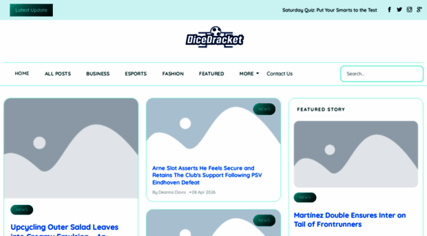 dicebracketnow.com