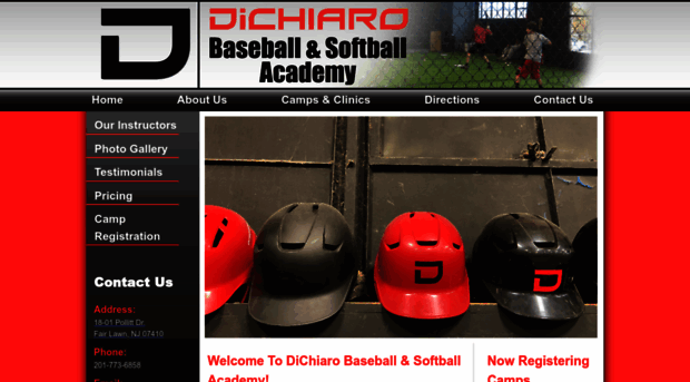 dichiarobaseball.com