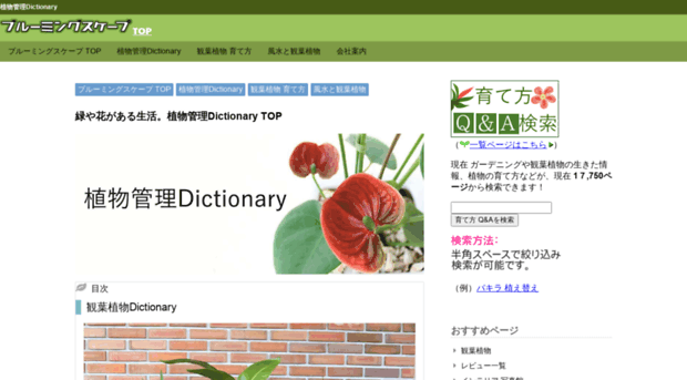 dictionary.bloom-s.co.jp