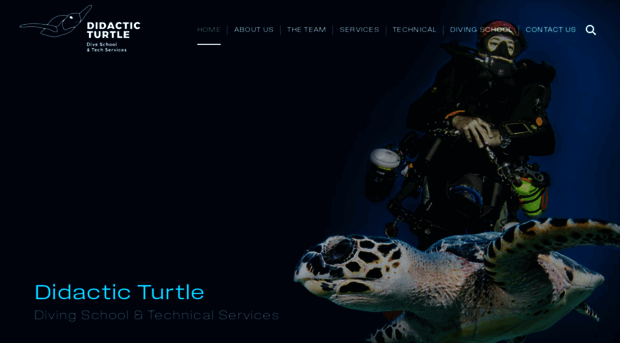 didacticturtle.com
