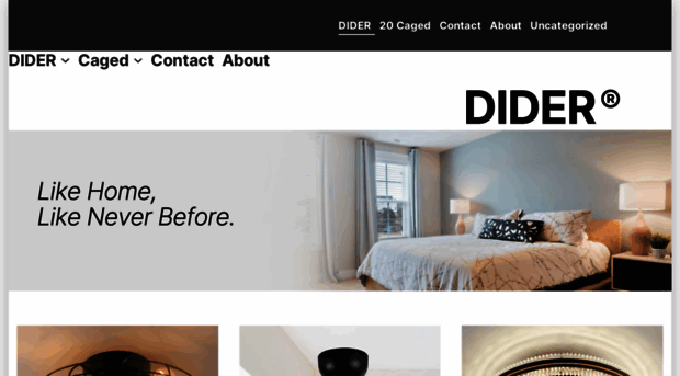 diderlighting.com