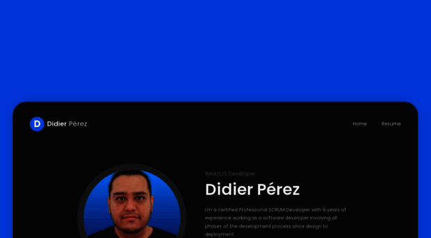 didierperez.com