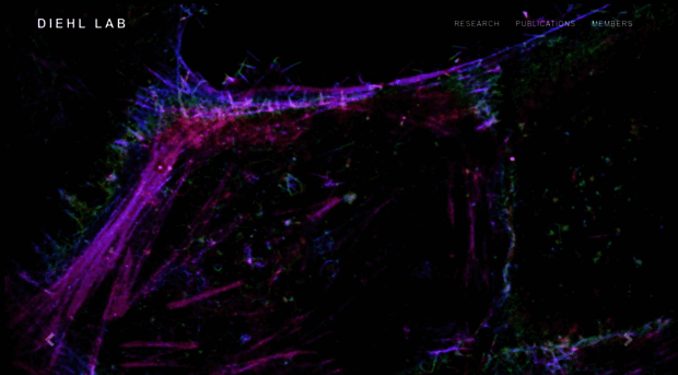 diehllab.rice.edu