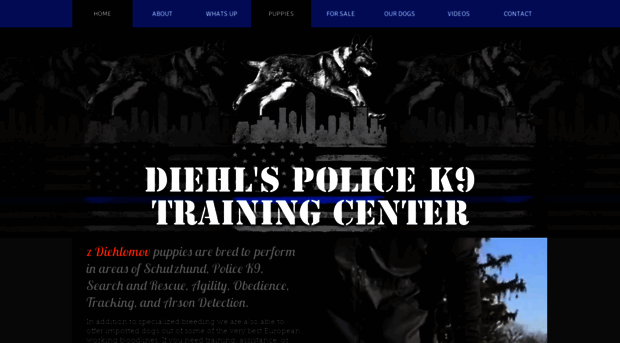 diehlspolicek9training.com