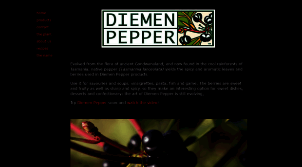 diemenpepper.com