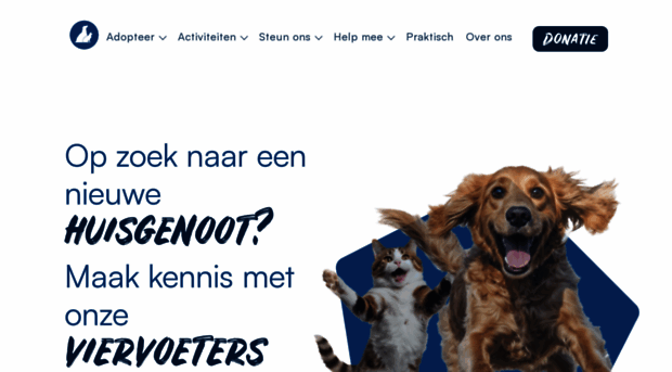 dierenasielgent.be