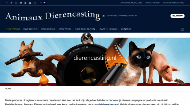 dierencasting.nl