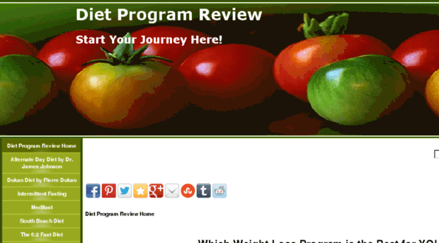 diet-program-review.com