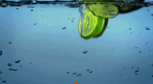 dietlabonline.com