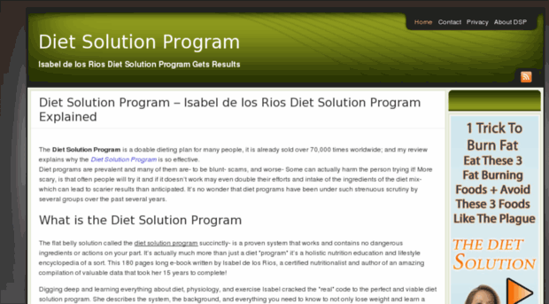 dietsolutionprogramo.com