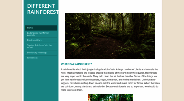 differentrainforest.weebly.com