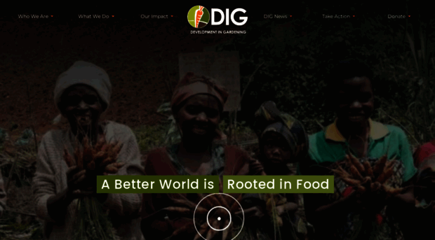 dig.org