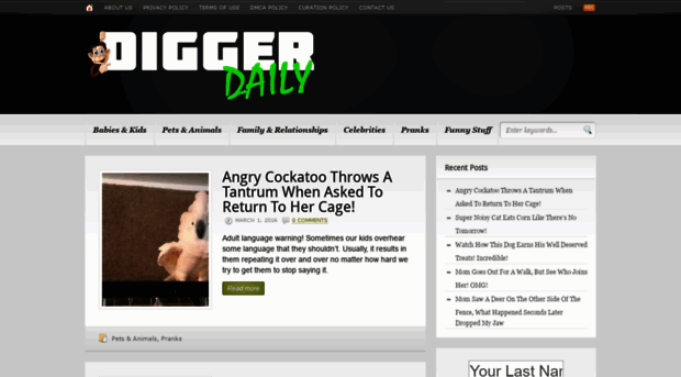 diggerdaily.com