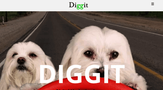 diggit.agency