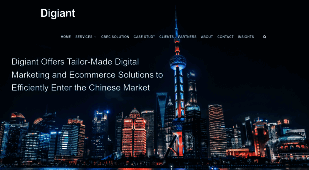 digiantglobal.com