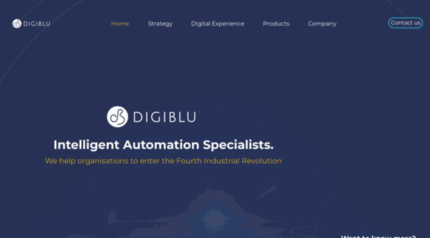 digiblu.co.za